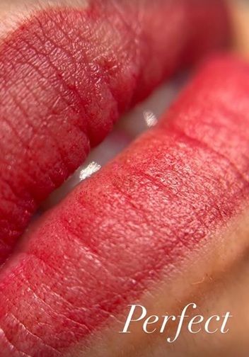 Micro labial finalizado